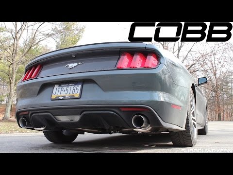 Sound: Cobb Turbo-Back Exhaust - EcoBoost Mustang