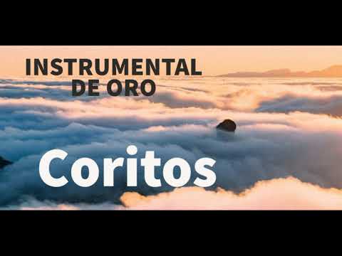 Instrumentales de oro  CORITOS  vol 7