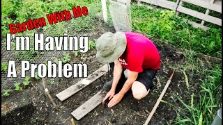 Garden Update: I Have To Replant My Seeds in the Garden.