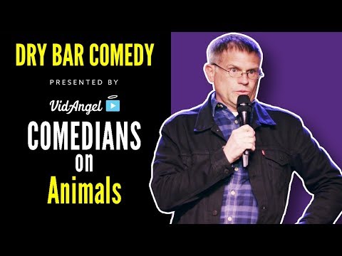 "Talking Animals" (HUGE COMPILATION) - Dry Bar Comedy
