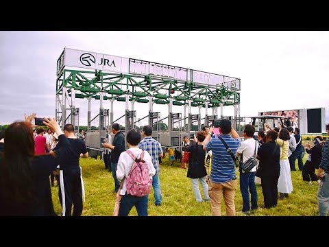 2017.06.25第58回宝塚記念(G1)芝コース開放(馬場開放)②＠東京競馬場