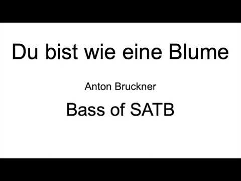 Du bist wie eine Blume: Bass of SATB
