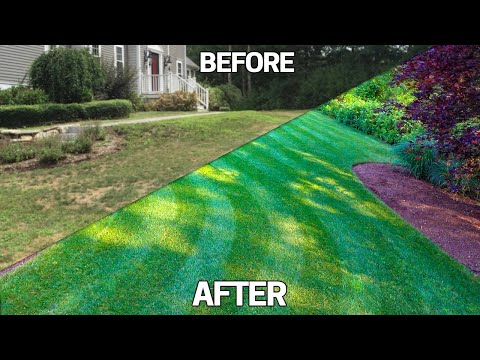 Fix an Ugly Lawn 5 TIPS -Easy Step by Step Guide For Beginners