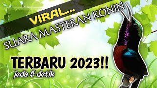 Download lagu masteran konin viral 2023 II BESETAN TAJAM jeda 5 detik mp3 Download lagu masteran konin viral 2023 II BESETAN TAJAM jeda 5 detik mp3