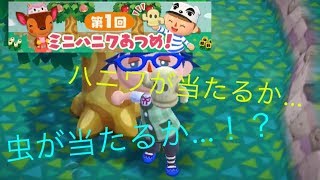 ハニワ栽培始めました どうぶつの森 ポケットキャンプ 実況! パート11