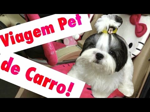 download lagu mp3 mp4 Leis Pet, download lagu Leis Pet gratis, unduh video klip Leis Pet