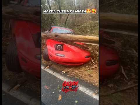 Baby Mazda Miata Party Cute🤪♥️ MX-5 #automobile #jdm #car #edit #shorts #otomotif #mazda #miata #mx5