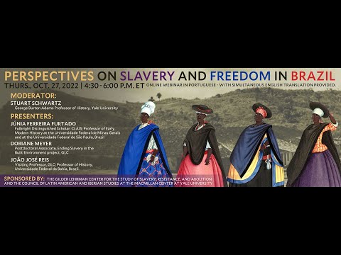 Perspectives on Slavery and Freedom in Brazil - in English