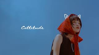 seiza「Cattitude」Official Music Video