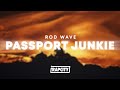 Rod Wave Passport Junkie Lyrics