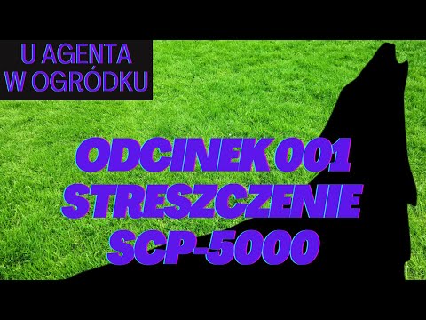 #wośp U Agenta Ametysta w ogródku E-001 Streszczenie SCP 5000