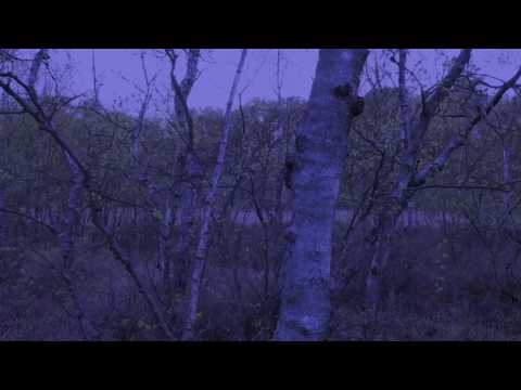 MYRKUR - Två Kongunbarn (Official Audio)