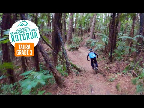 A great addition to the Whakarewarewa Forest Loop - Taura, Rotorua
