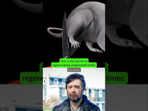 What's stopping us from regrowing limbs? - Michael Levin #biology #medicine