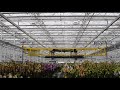 3D Overhead Crane Orchid Nursery Rolling Bench System