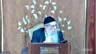 הרה"ג הרב וועכטר שליט"א י' אדר תשפ"ה - מאמר הרבי הריי"צ תר"פ ד"ה ראשית גויים עמלק חלק ב (הרב אברהם מנחם מענדל וכטר) - התמונה מוצגת ישירות מתוך אתר האינטרנט יוטיוב. זכויות היוצרים בתמונה שייכות ליוצרה. קישור קרדיט למקור התוכן נמצא בתוך דף הסרטון