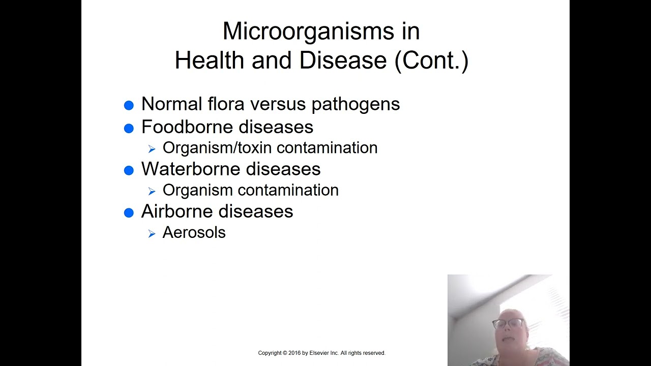 Chapter 1 Microbiology PowerPoint Continued