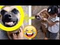Epic Fails And Hilarious Hiccups The Ultimate Laugh Riot Compilation