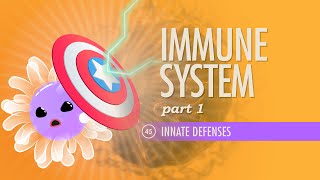 Immune System, Part 1: Crash Course A&P #45 - SYSTEM