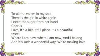 Elefant - Sunlight Makes Me Paranoid Lyrics