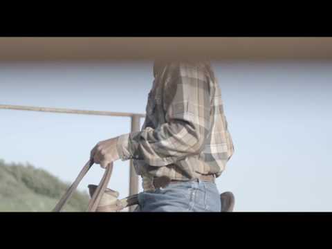 Paul Van Dyke- Colt Starting 2017