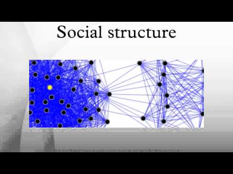 Social structure