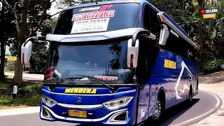 Download lagu Penampilan berbeda legenda bus merdeka scorpion angkutan mudik lebaran2026 melintas tikungan eksotis mp3