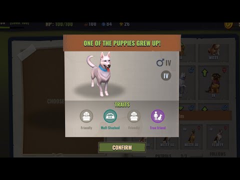 Days After: Got 3 consecutive Rank IV dog w/ “True Friend” Trait