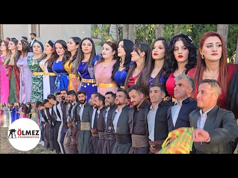 The magnificent Halay of the Kurds, Şırnak Uludere Andaç village - @GaziMuzikOrg