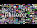 PETALIPTIC TOO MANY MORE SEIZURE WARNING MEGAPARISON