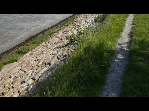 Coastal Path Bagillt