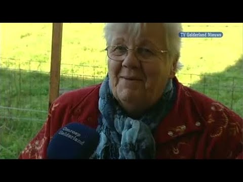 GLD Nieuws 23 oktober 2011 - Nieuws