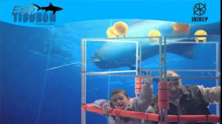 DIA 2 Expo Tiburon135