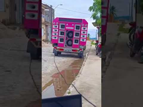 GALO SOM ITABAIANINHA SERGIPE