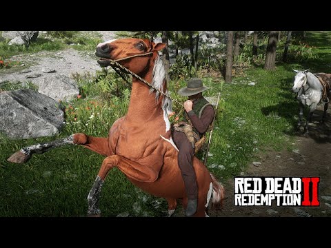 LET'S TAME HORSES - Red Dead Redemption 2 - The Horse Tamer
