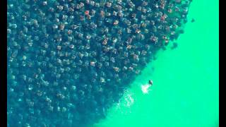 Grad_U feat. Eazystyle MC - Everyday Temple (Sraunus Incoming Delay Message)