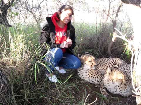 Kanoj and Soujanya with Cheetah's