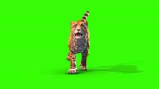 Download lagu Green screen harimau maung mp3