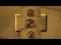 REUPLOAD YTPMV HURR DURR Flv Scan