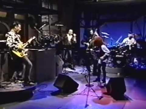 Animal Logic - There's A Spy In The House Of Love - Letterman