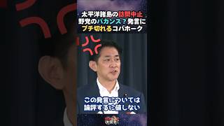 【論評に値しない】国民民主の「バカンス？」発言に静かに切れるコバホーク 小林政調会長が太平洋諸島諸国への訪問中止について語る