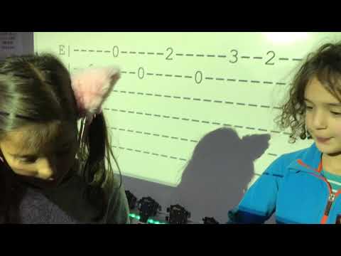 Musiklektion - Ukulele