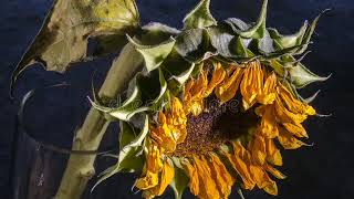 7.8.Yasmin - Thinking Of You (Club Mix)