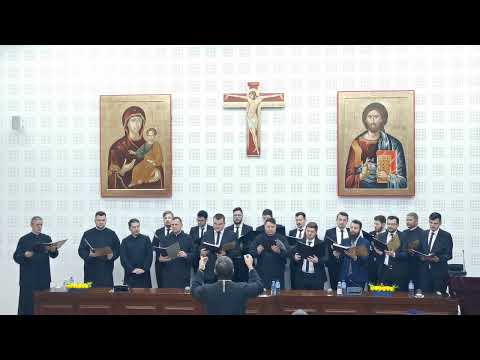 Corala Psalmodia Transylvanica - Nu pricep curată