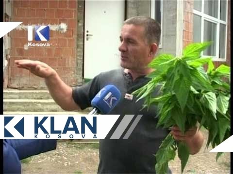 Ramiz Ramdani, ma i forti prej krejtve