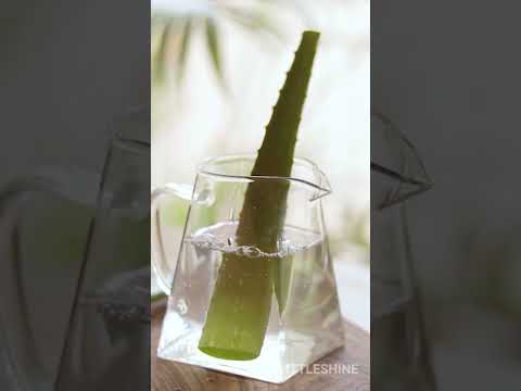 Soak aloe vera before use