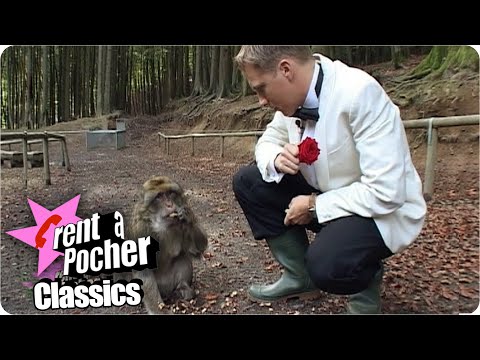 Zickenalarm im Affengehege | Rent a Pocher