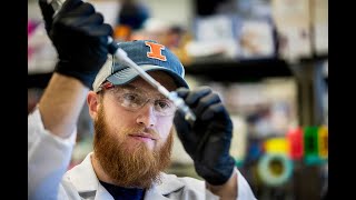 Why Illinois ECE Graduate School