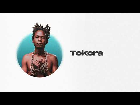 Pogatsa - Tokora (Audio)