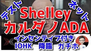 カルダノADA Shelleyインセンティブ付きテストネットの公開 FShares FSDEX ノアコイン 爆上がり兄弟あっちゃん仮想通貨ニュース
